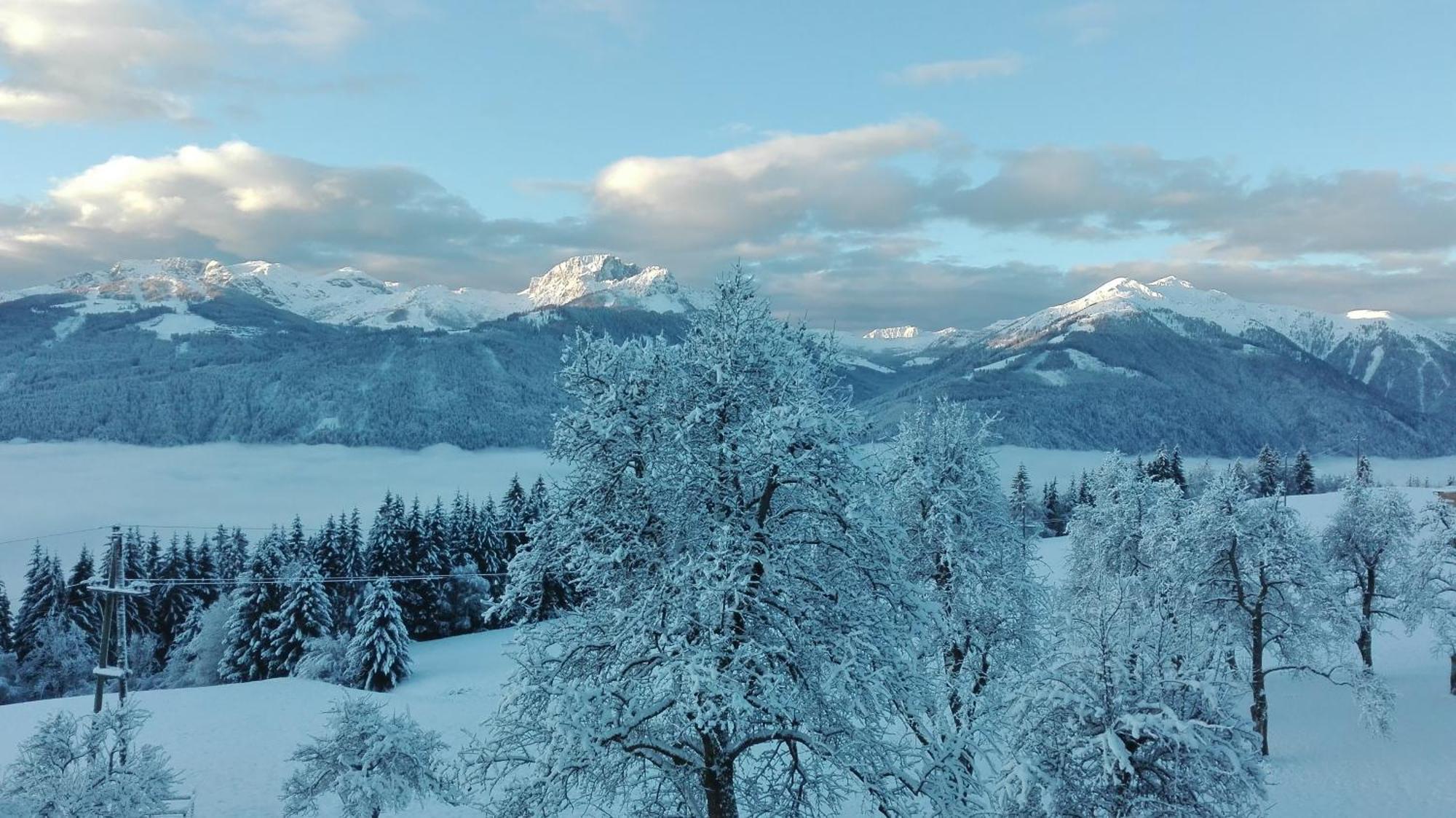 Apartmán Bergbauernhof Schluder Hermagor-Pressegger See Exteriér fotografie